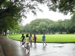 -中山大学学者灵芝(园南路店)