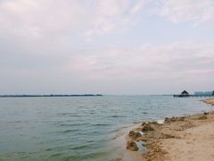 -瑶湖郊野森林公园