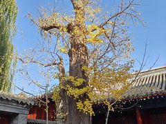 -承恩寺