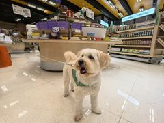 -帕帕拉兹宠物(亚洲旗舰店)