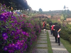 -优游吧斯邹族文化部落