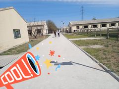 -北京群众马术培训基地