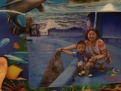 -多彩贵州城极地海洋世界