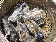 -蚝堡海鲜·威海菜·海肠捞饭·烧烤·亚洲吃蚝公司(幸福门店)