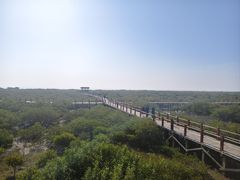 -北海金海湾红树林生态旅游区