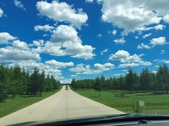 -塞罕坝国家级自然保护区