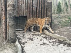 -北京野生动物园