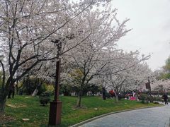 -堤角公园