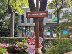 -上海共青森林公园