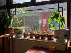 -伊隆斋(什刹海店)