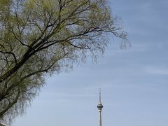 -中央广播电视塔