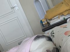 -翔峰炭火鳗鱼(悦泰街里公寓店)
