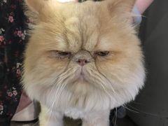 -小时光咖啡馆(开森度假森林店)