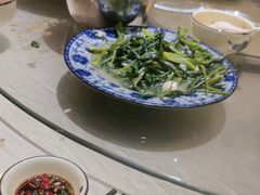 炒农家青菜-生态苑农庄(十里画廊遇龙河店)