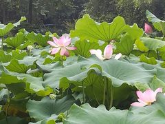 -雀儿山公园