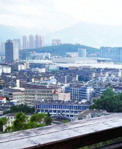 -金鸡山公园
