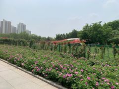 -南翠屏公园