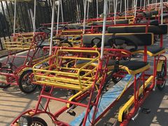 -永定河休闲森林公园