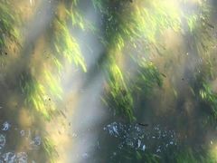 -乐山大佛风景名胜区乌尤寺南门-售票点