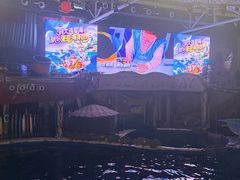 -大连圣亚海洋世界