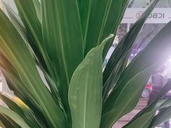 -小八仙·宴(三峡茶庄店)