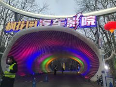 -枫花园汽车电影院(朝阳公园店)