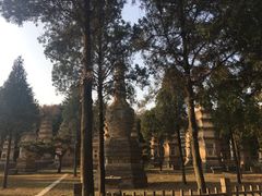 -嵩山少林文化旅游景区