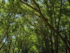 -森林公园(尖草坪区)