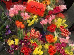 -天河体育中心