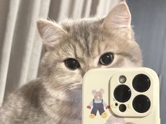 -夜小腰烧烤(中华路店)