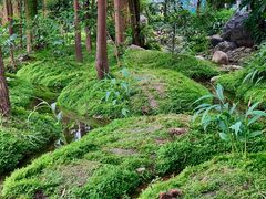 -成都市活水公园