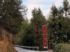 -紫鹊界梯田景区