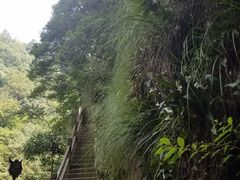 -祁门牯牛降观音堂风景区