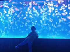 -多彩贵州城极地海洋世界