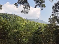 -深圳仙湖植物园