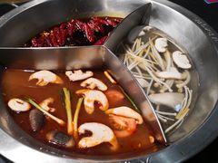 -大龙燚火锅(春熙店)