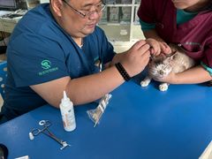 -瑞派申生动物医院·24H夜诊·国际动物医疗中心·骨外科(吴中路店)