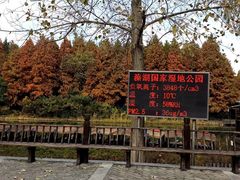 -溱湖国家湿地公园