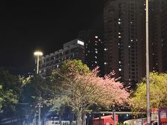 -85度C(深圳佳宁娜店)