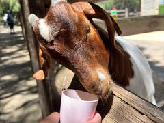 -费瑟代尔野生动物园