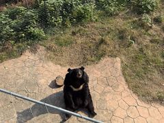 -无锡动物园·太湖欢乐园