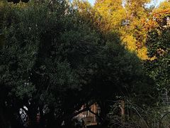 -上海大学(嘉定校区)