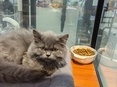 -佛山京华广场MALL