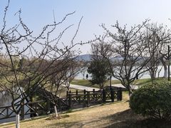 -羊山湖公园