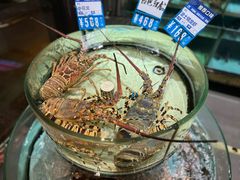 -强记海鲜·大排档(蛇口新街店)