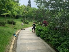 -大屏嶂森林公园
