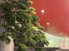 -高新体育馆