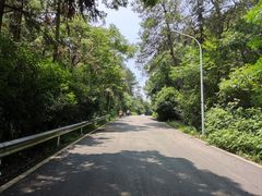 -青龙山国家森林公园