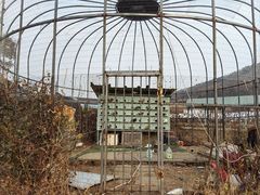 -金石滩蓝莓谷庄园