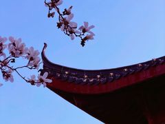 -堤角公园
